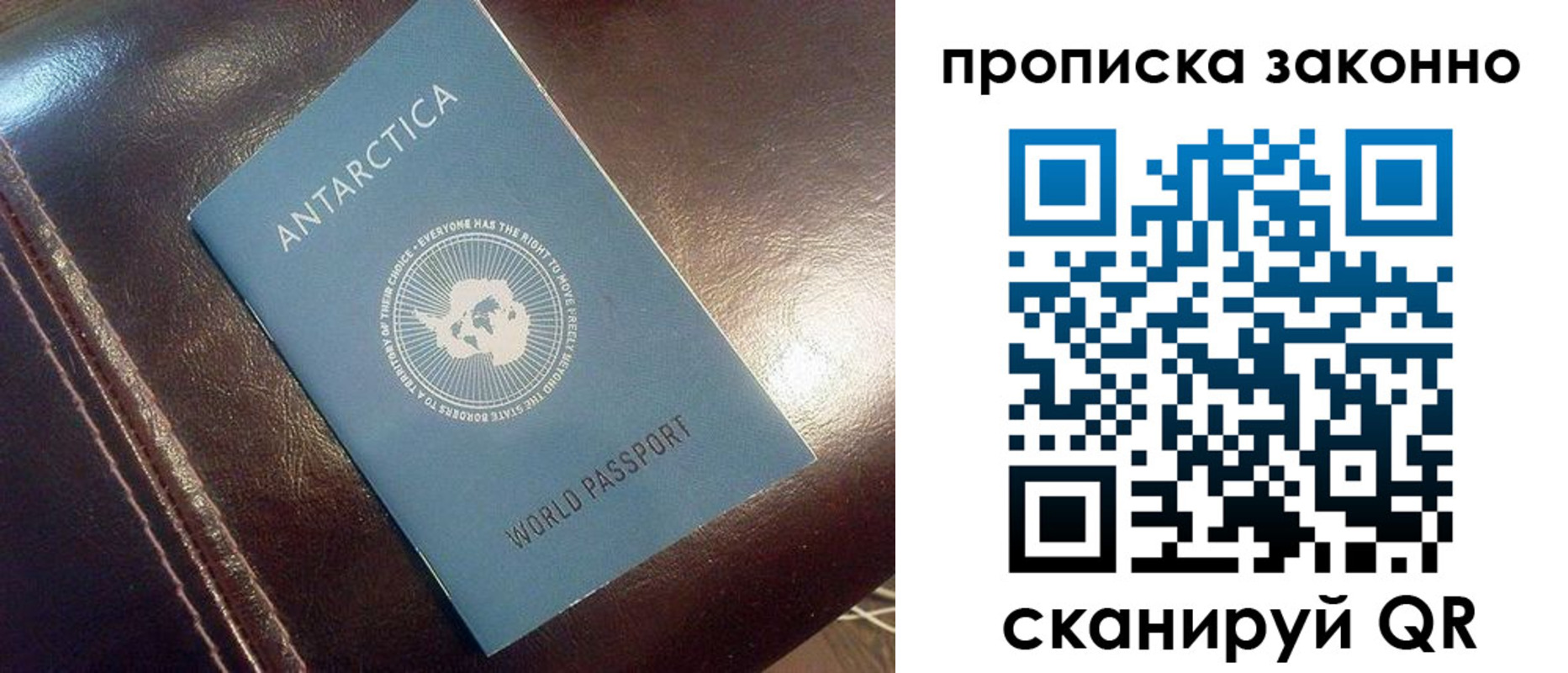 прописка в квартире в Бикине